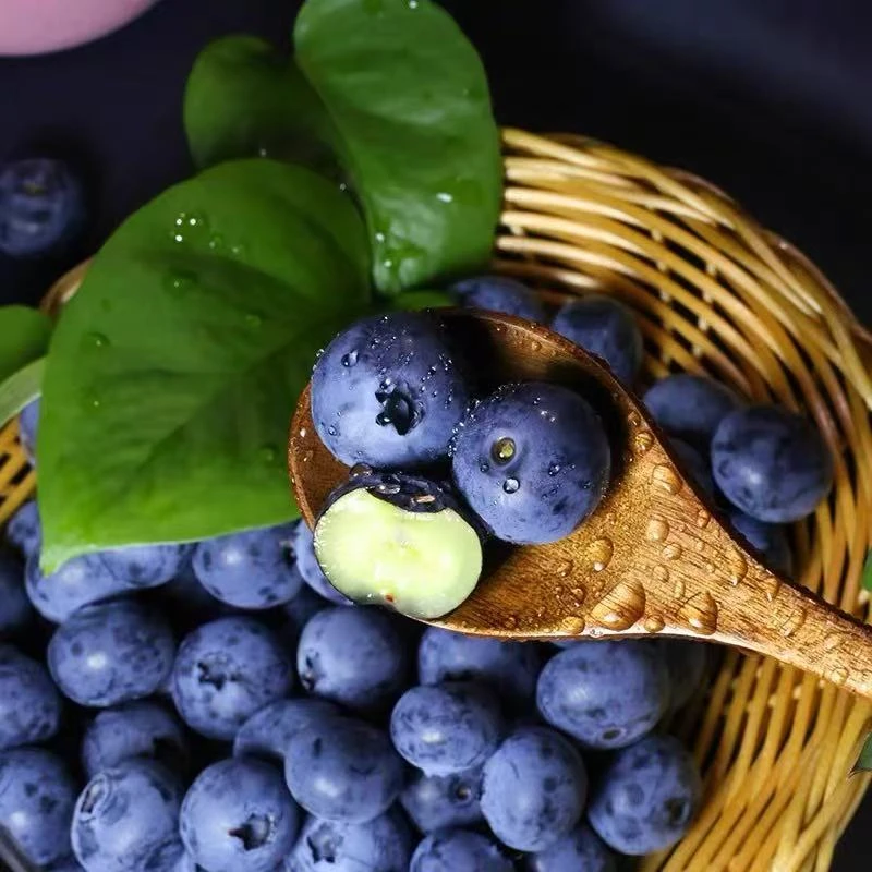 【28.8元一箱】净重100g+/盒 丹东L25大果蓝莓 18-22mm果径 新鲜水果现摘当季蓝莓脆甜