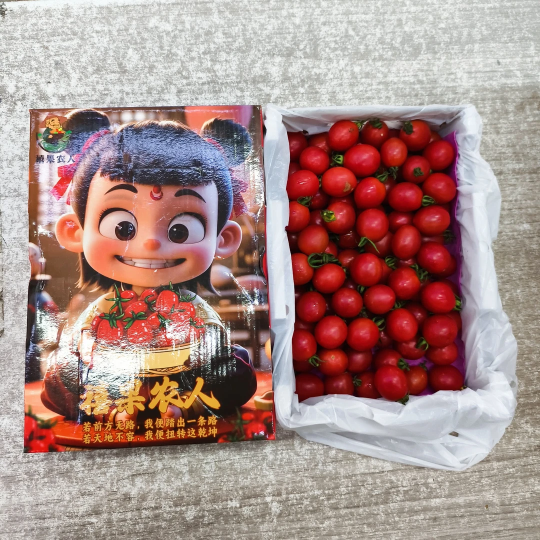 电白千禧小柿子 箱/毛重2.5斤左右千禧圣女果