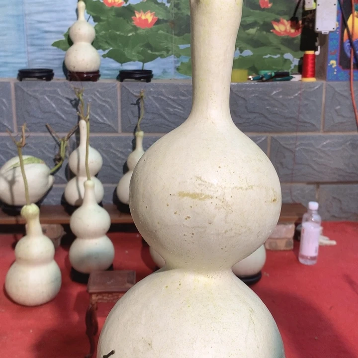 用***1中号现货供应产品