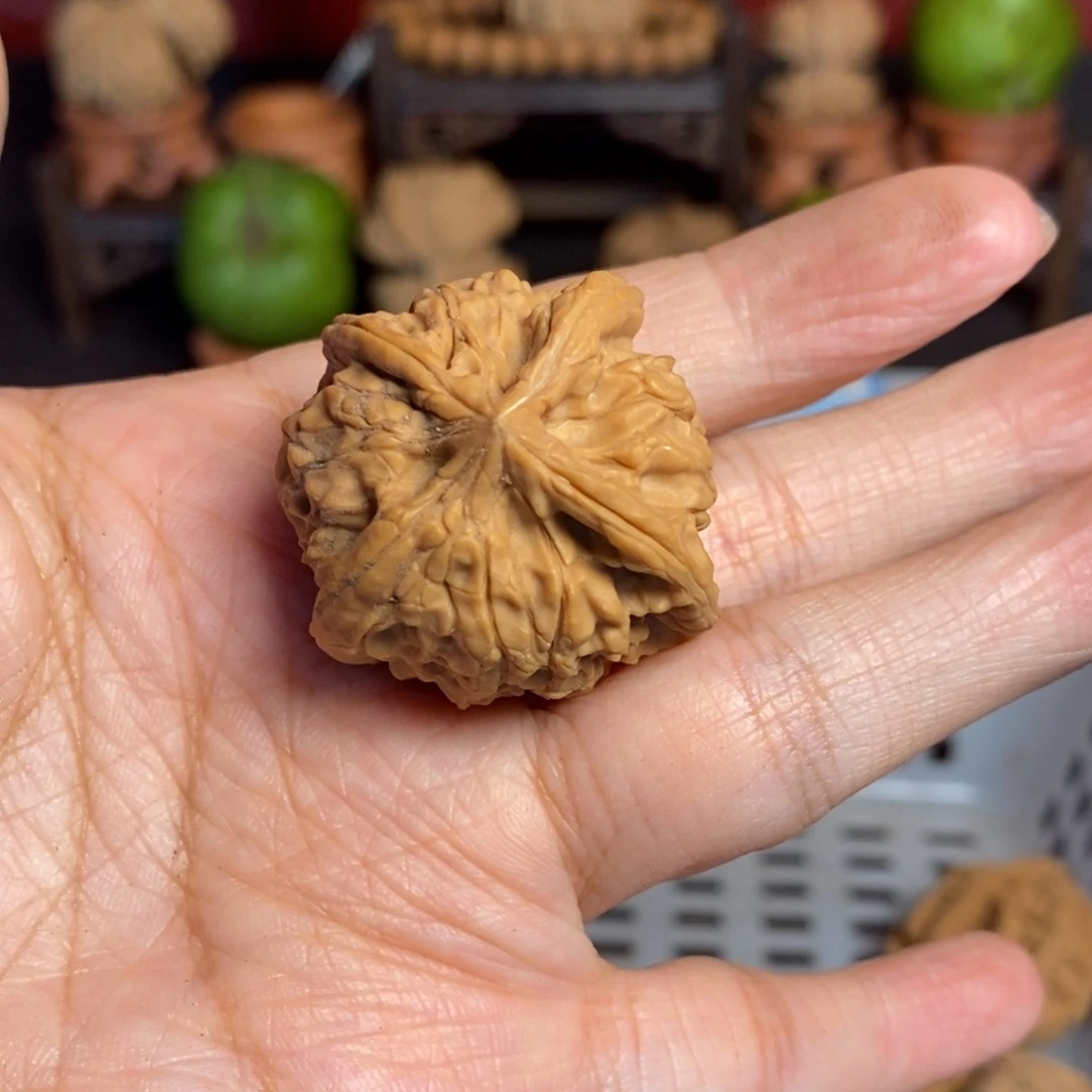 用***5把件文玩核桃文玩