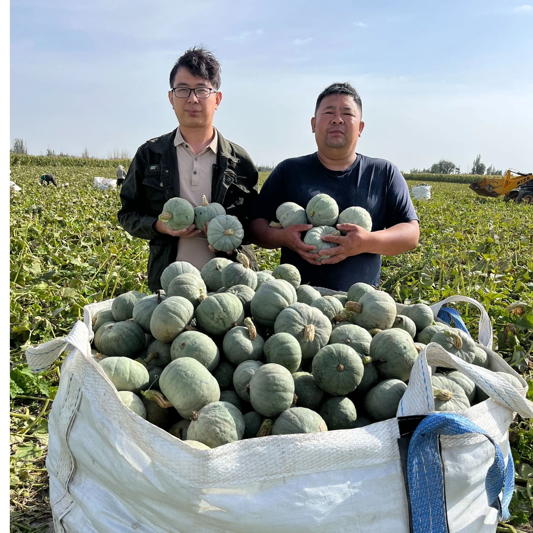 [徐州远嫁甘肃萱萱]5斤银贝贝南瓜北纬38度2500小时光照宝宝辅食