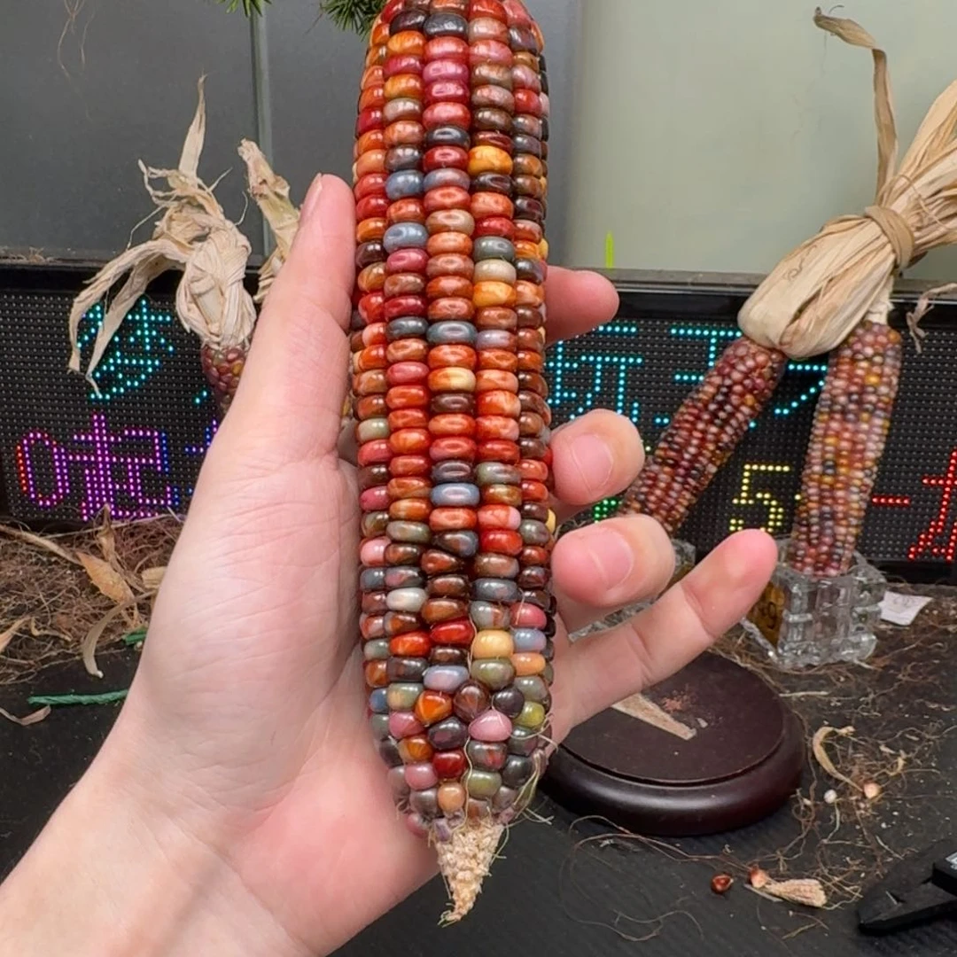 柏香籽/百香籽吊坠尼****花