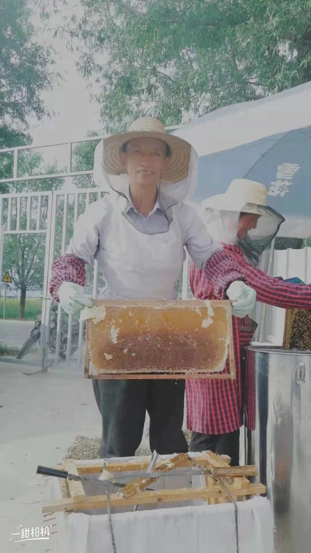 甘肃岷县土蜂蜜深山采摘黄芪党参蜜结晶蜜