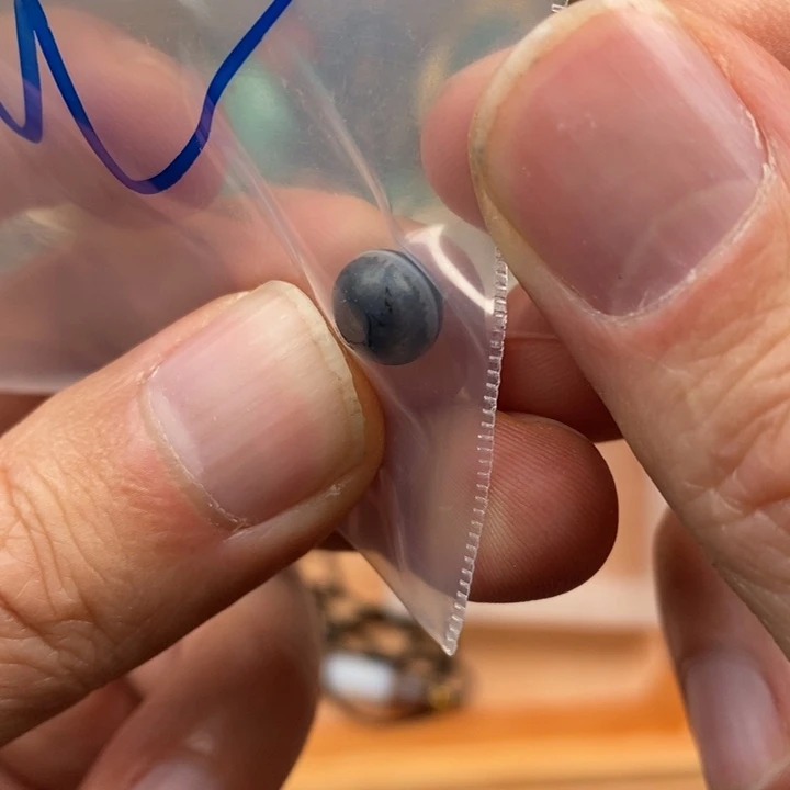 玛瑙/玉髓1未镶嵌垚