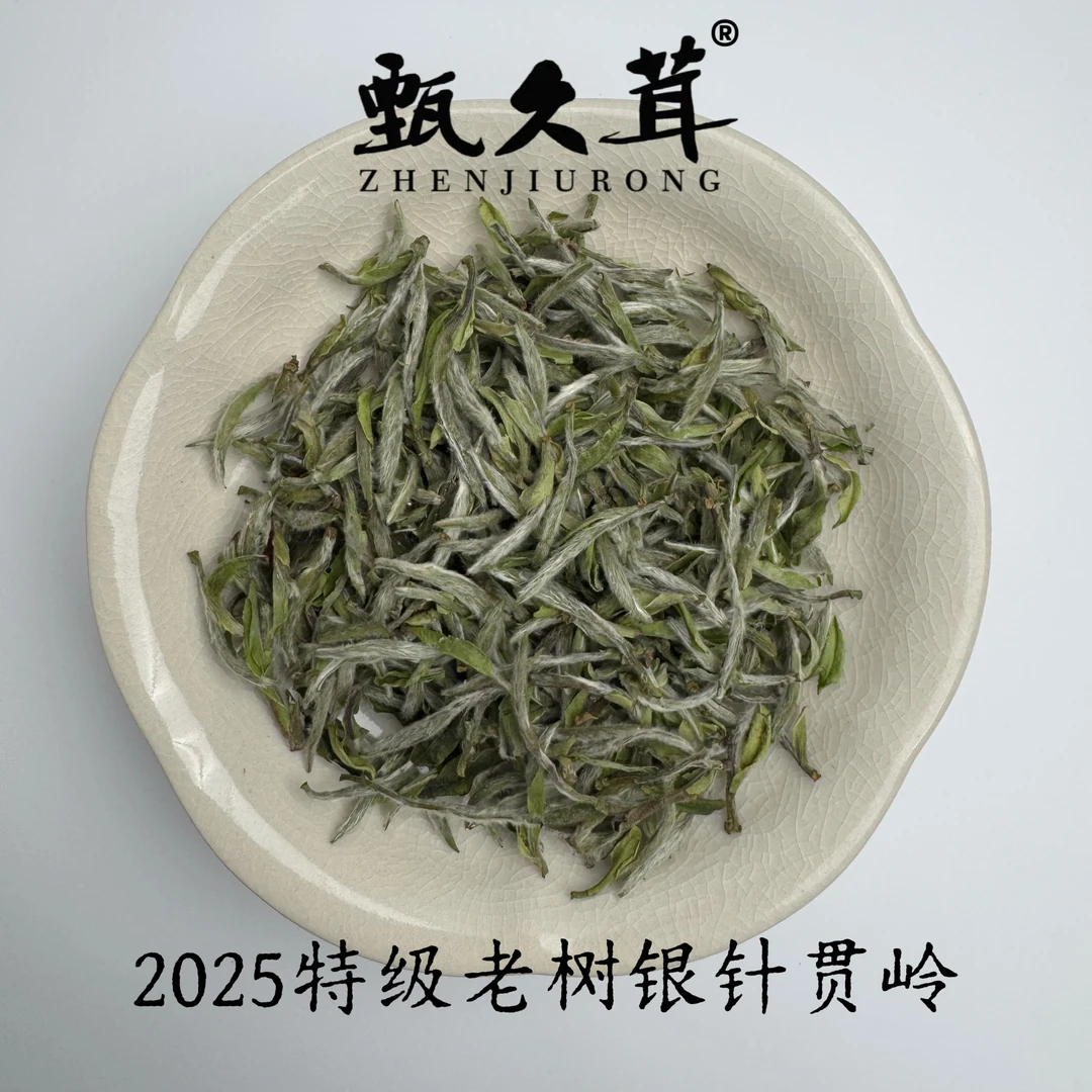 【刘荣长亲制】甄久茸茶业2025贯岭特级老树银针