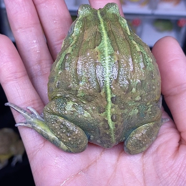 特价秒杀现货特价