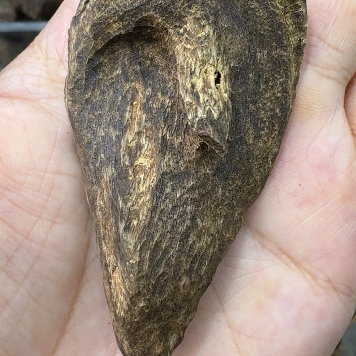 越南芽庄沉香。3克