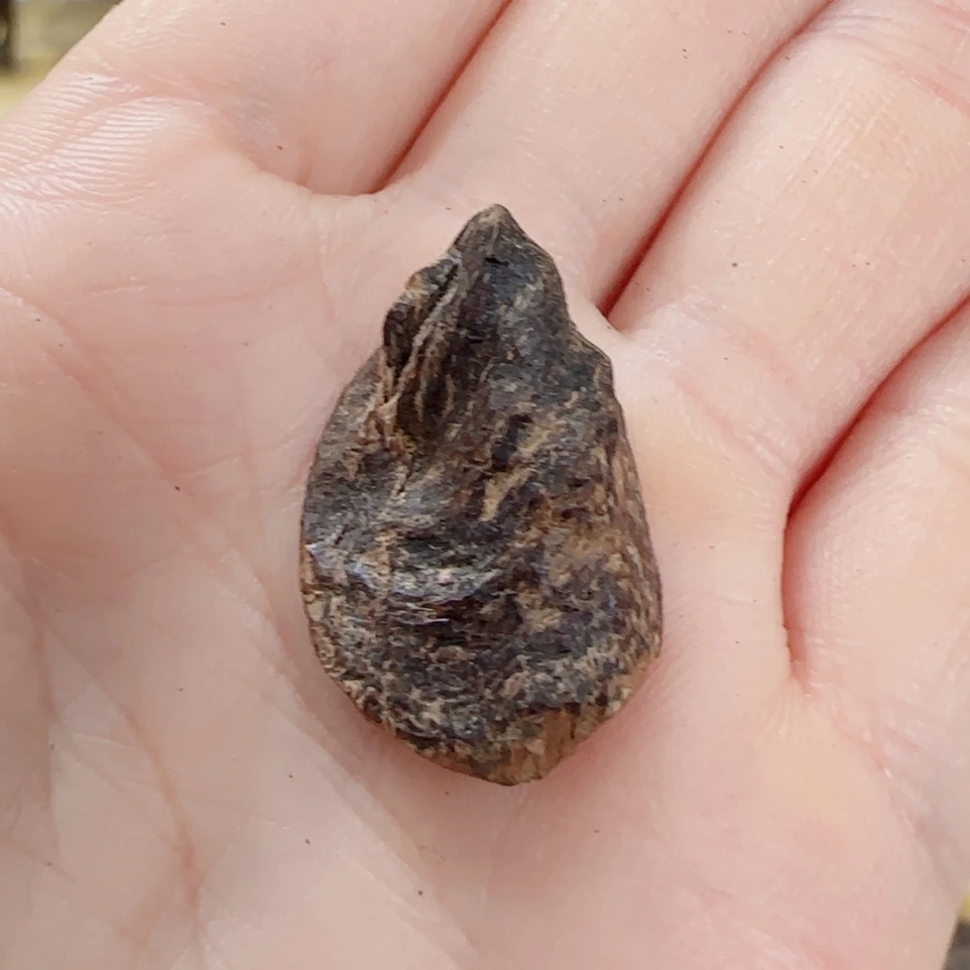 沉香沉香木制品海南老包壳0.7g
