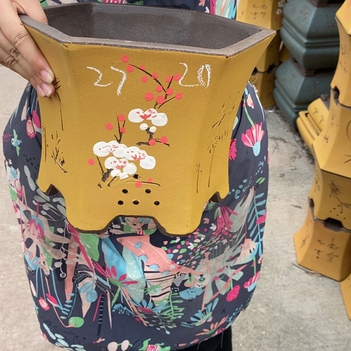 花盆紫砂自己的号了啊