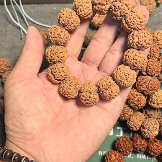 ****️手串金刚菩提五星蜂王大金刚手串，22左右尺寸