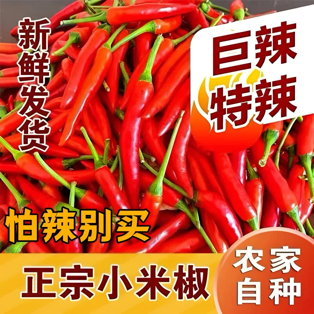 魔鬼辣超辣小米椒指小米新鲜批发蔬菜泡椒正宗小米辣红小米椒