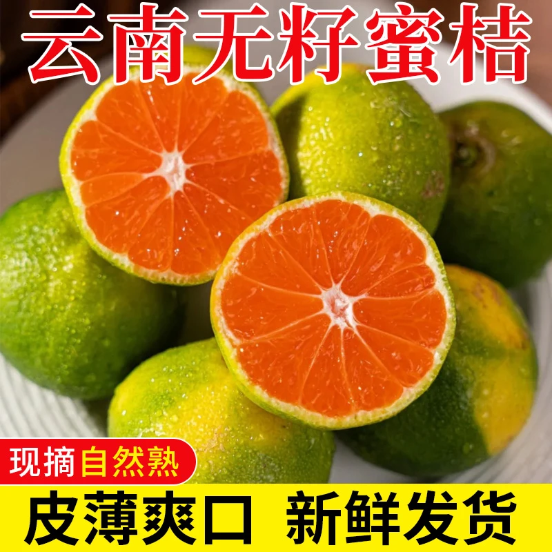 早熟无核无籽皮薄青皮蜜桔新鲜应季水果现摘现发肆喜果农车厘子