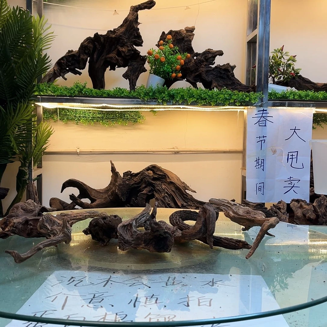 柚木村**坤沉木鱼缸造景