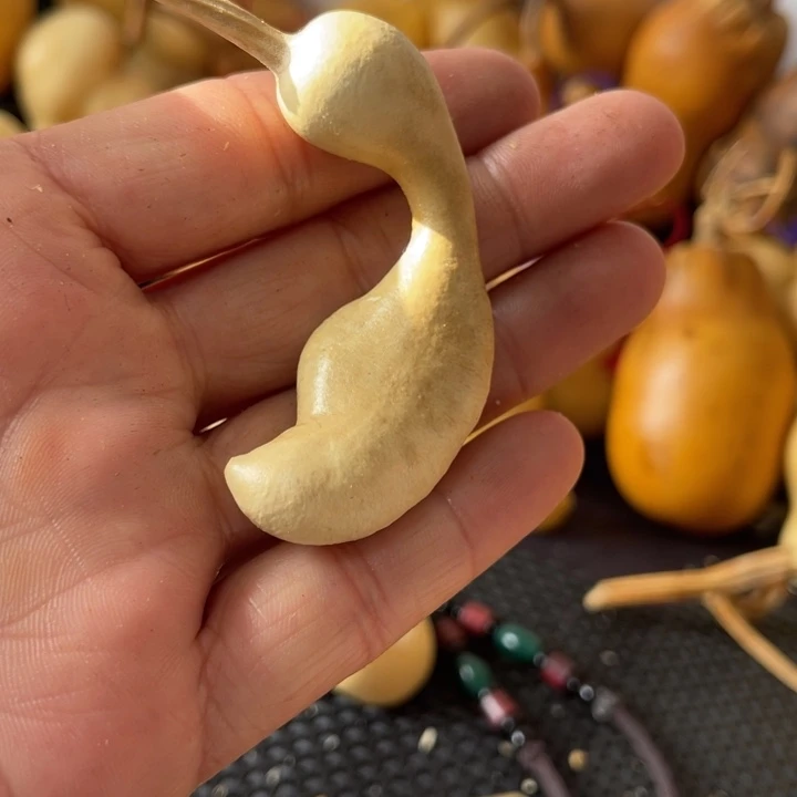 大***文葫芦哈哈哈哈哈哈哈哈