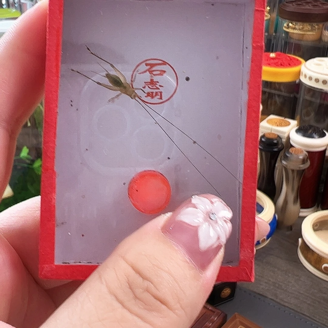 青***发哈哈哈哈哈哈哈哈