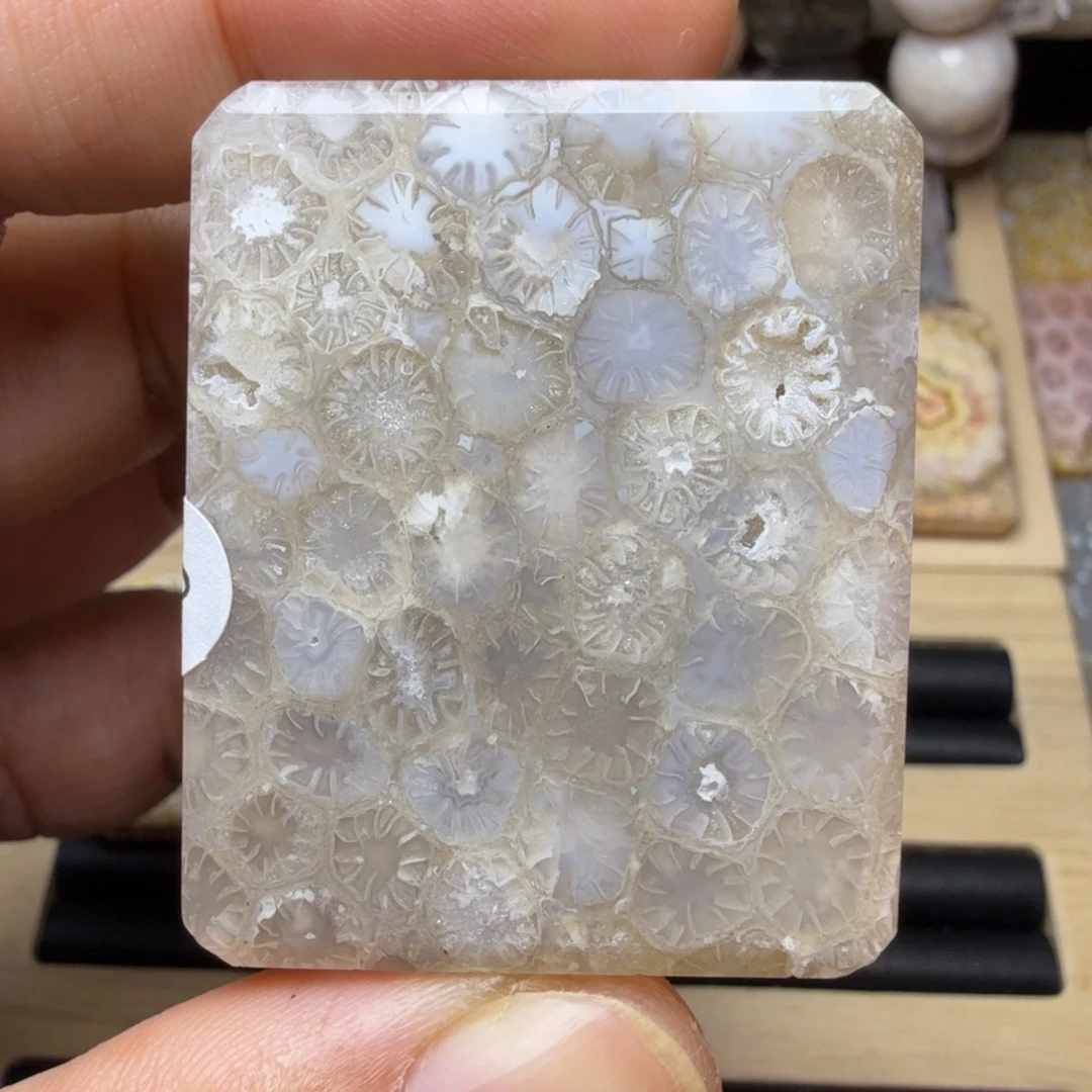 硅化玉未镶嵌纯天然色有机玉石保真色