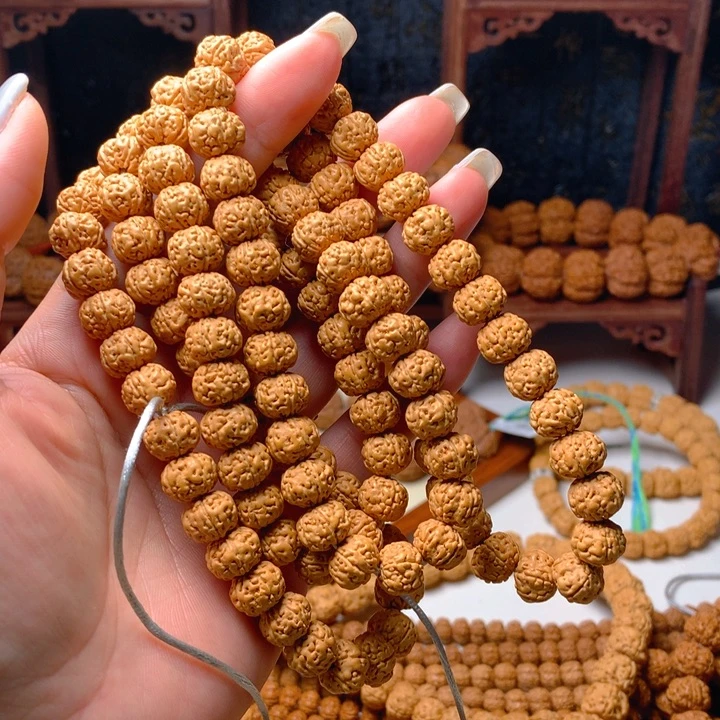 金刚菩提手串苗***家小金刚