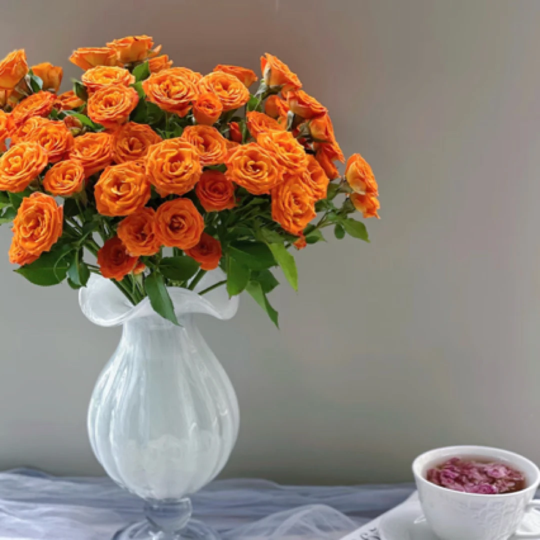 多头玫瑰各色可选橙色芭比5枝10枝可选
