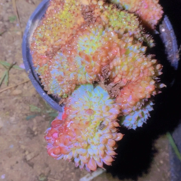 風***外婆给的钱是他自己做给孩子