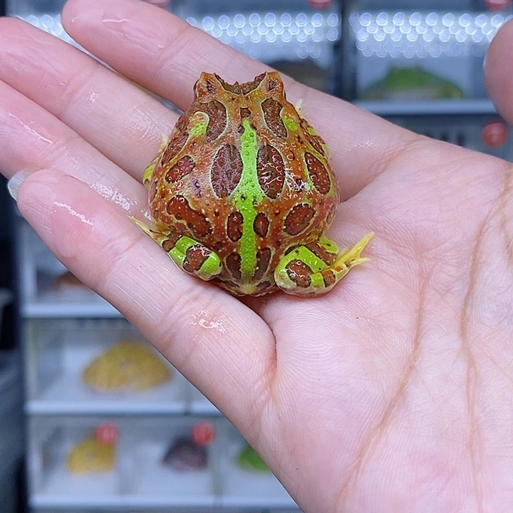 特价秒杀现货特价残