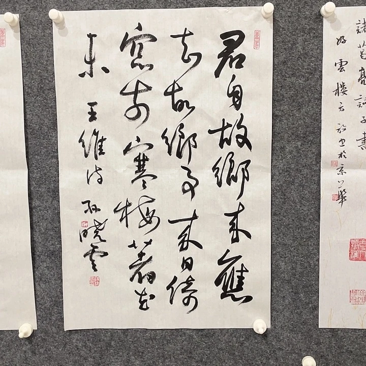 横款明月轩111111