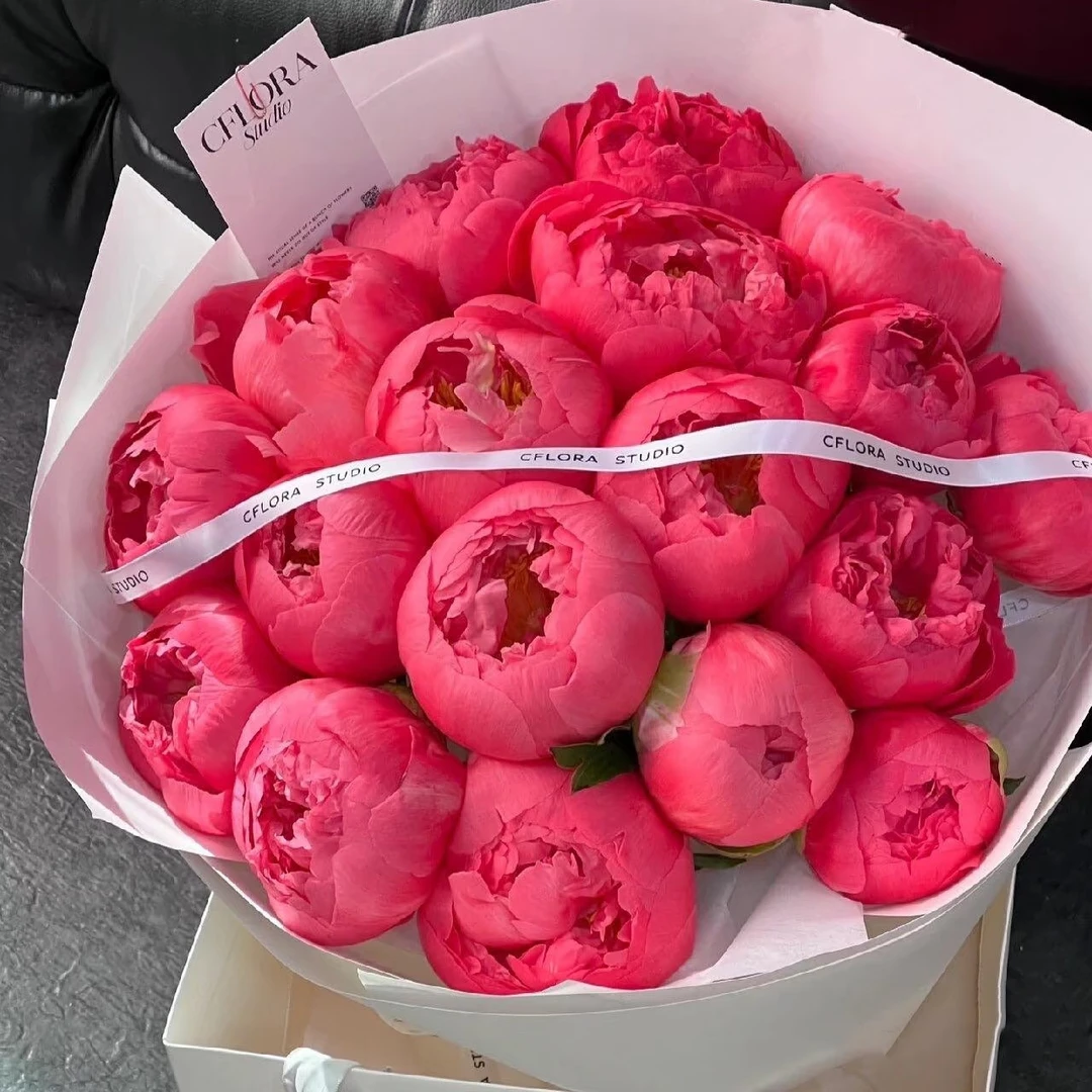 【A+级珊瑚落日现货】进口芍药鲜切花重瓣千层 基地直发 送保鲜剂