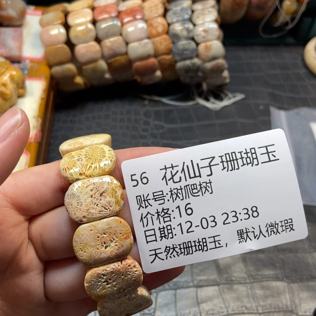 树***树硅化珊瑚（珊瑚玉）合金手镯