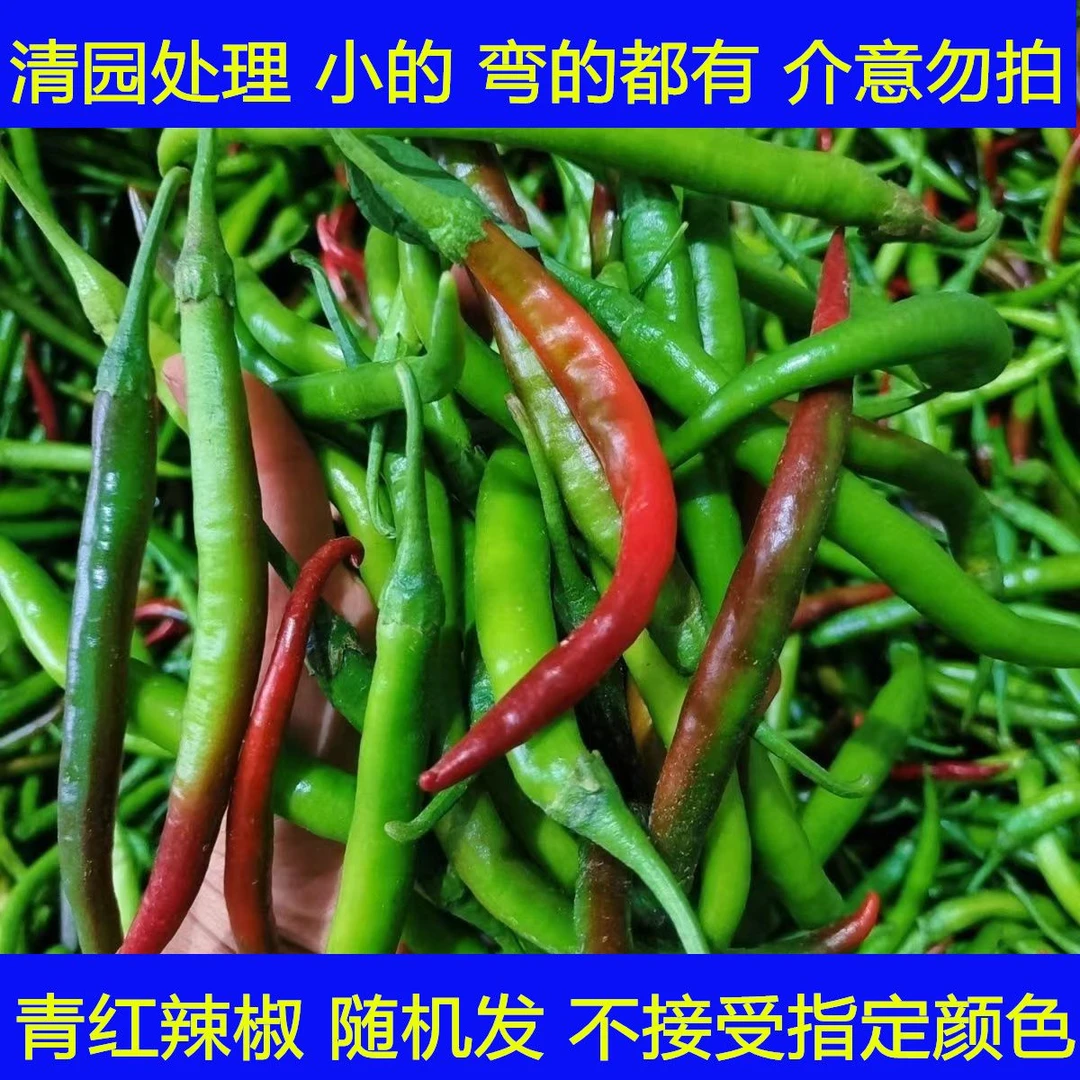 珍口福新鲜青二荆条红线椒混装中高辣超香新鲜红辣椒泡椒尖椒5斤