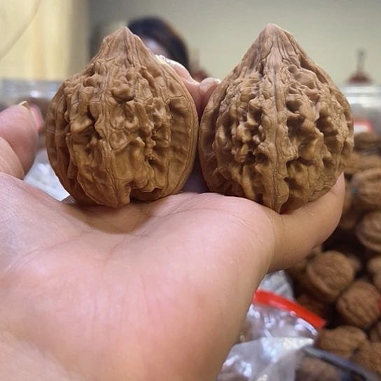 文玩核桃吊坠43大沽石有水尖