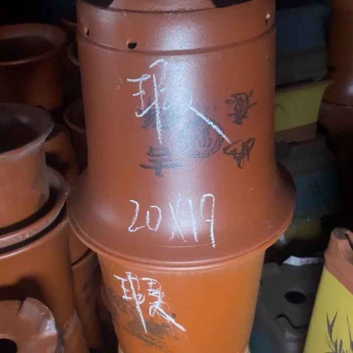 周深周深周深周深