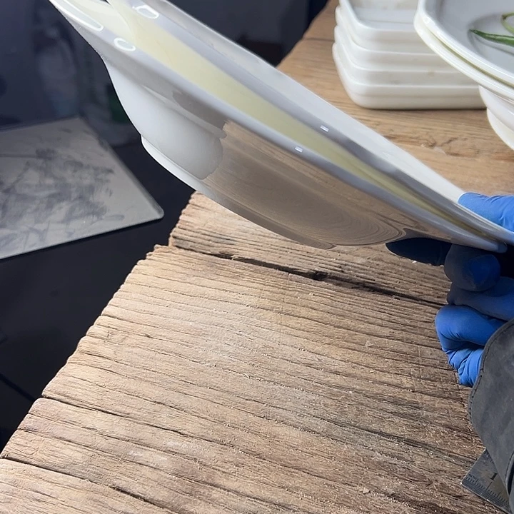 卤***君库存尾货出口美国荷口汤盘十个
