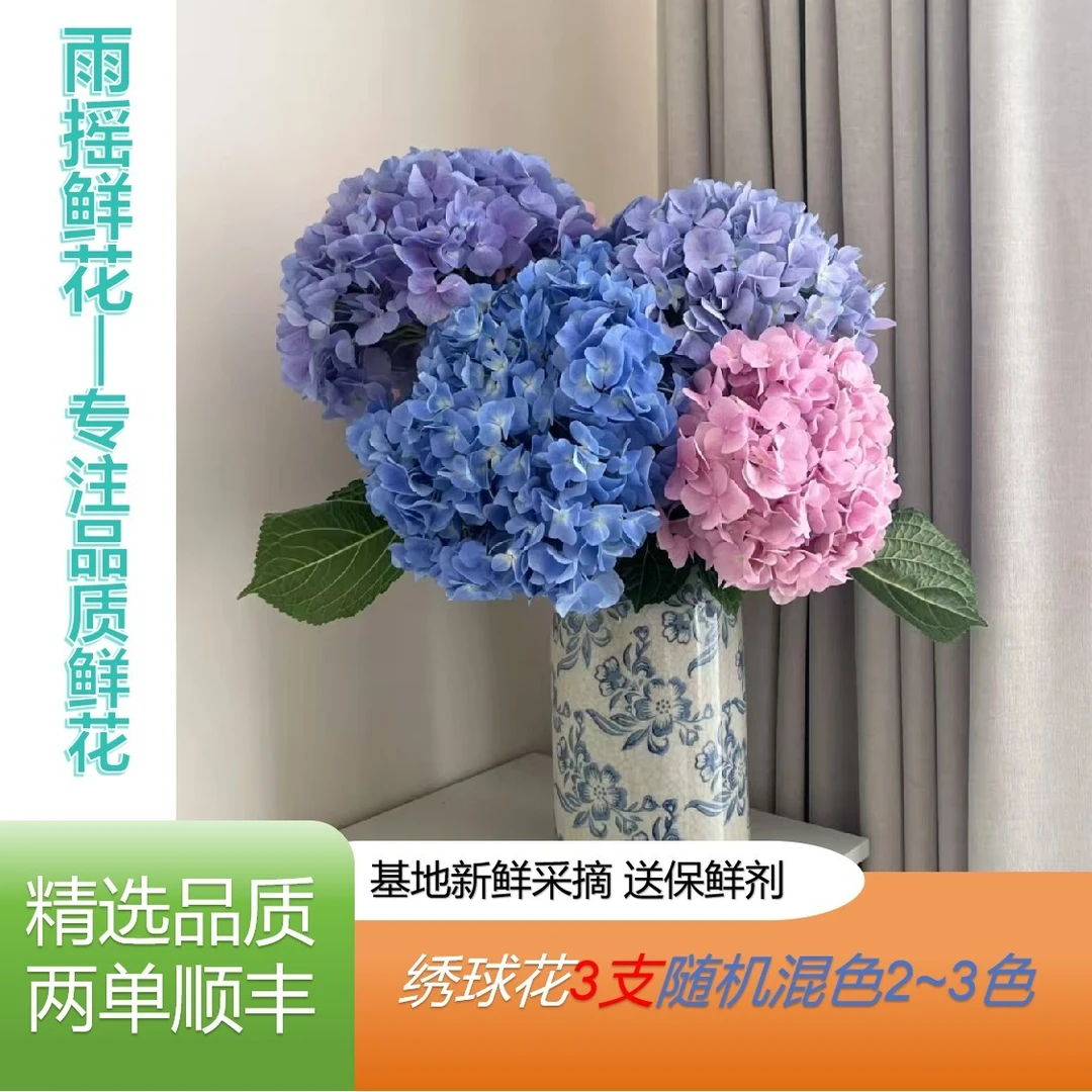 【绣球花 3支】云南鲜花基地直发 全场鲜花任意两单顺丰包邮