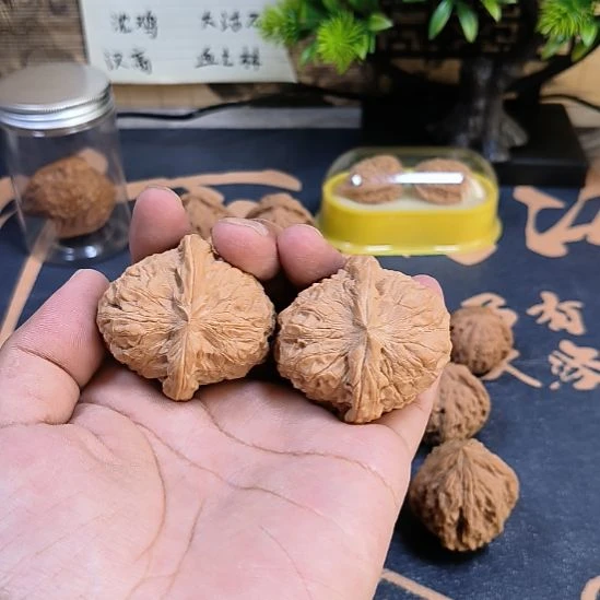 把件文玩核桃肚47，边45全品无修南瓜墩，6号