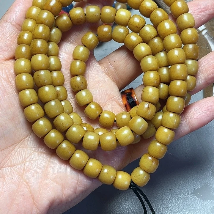 大果紫檀（缅甸花梨）