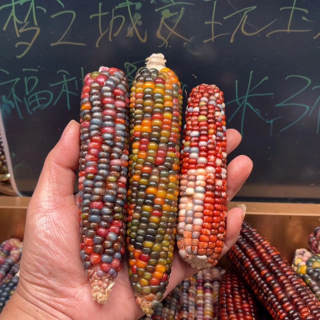 柏香籽/百香籽吊坠左**月