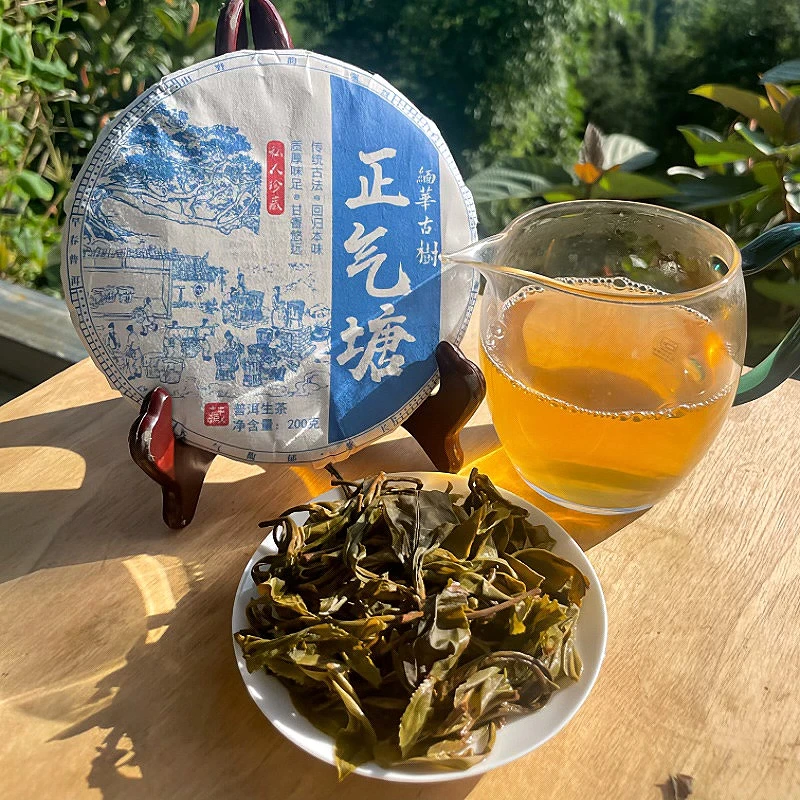 缅华古树正气堂2024年头春古树头春头采生茶紧压茶（200g）送礼盒