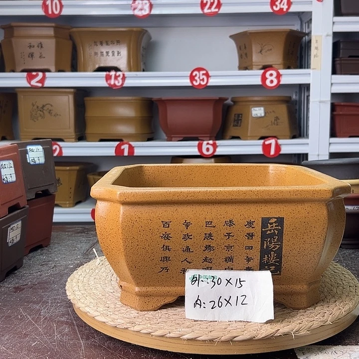 花盆紫砂蛇年大吉