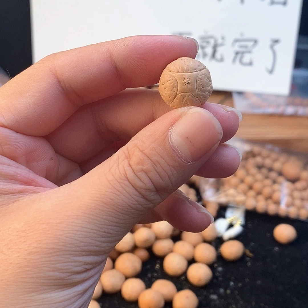 吊坠凤眼菩提1190