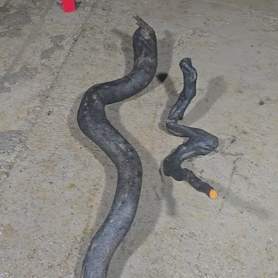 有***鸣无花朵当前无花果