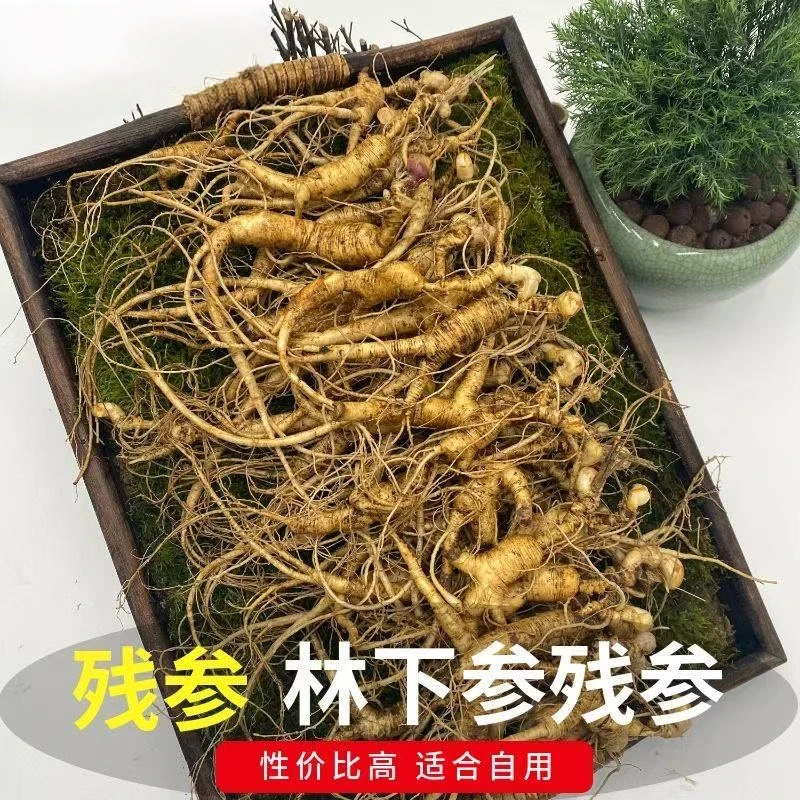 接近野山参人参长白山林下参残参泡酒煲汤滋补新鲜人参野山人参