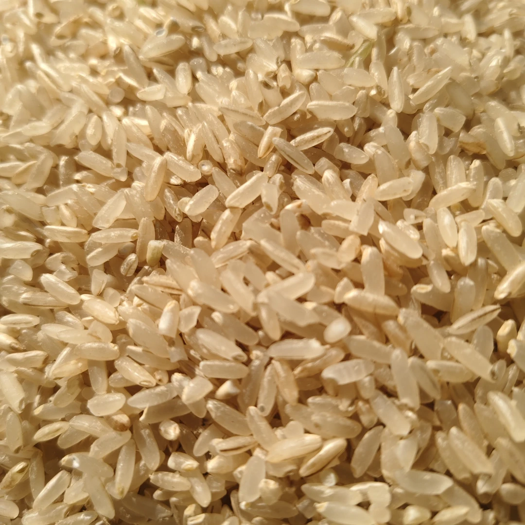 【糙米】农家糙米长粒糙米自产自销现磨现发