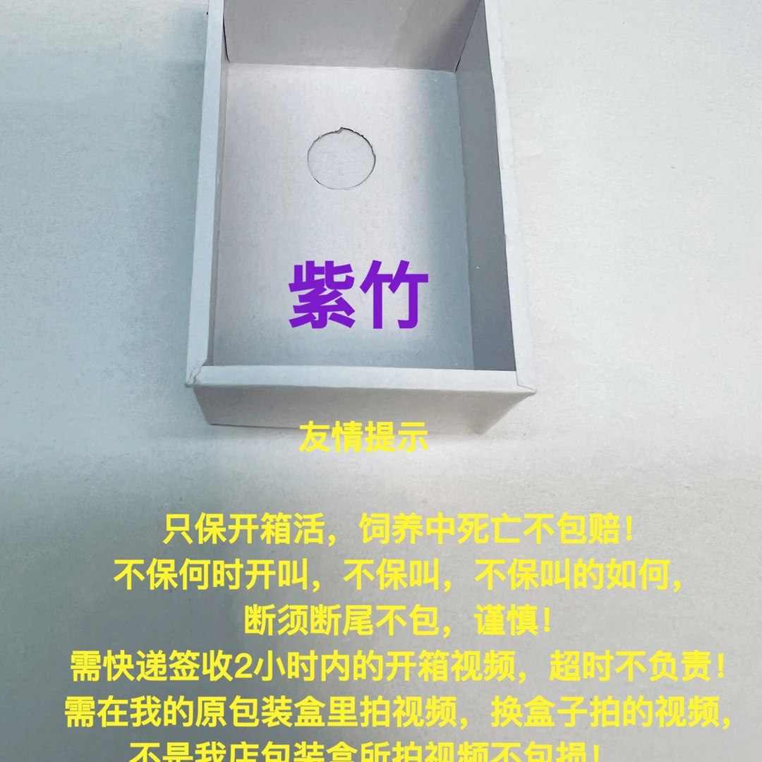 紫竹蛉  人工连口  纸盒（需签收2小时内开箱视频）