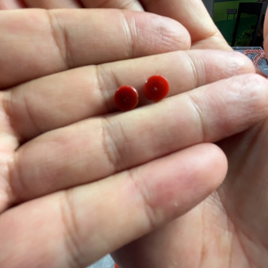 南红玛瑙未镶嵌颈饰