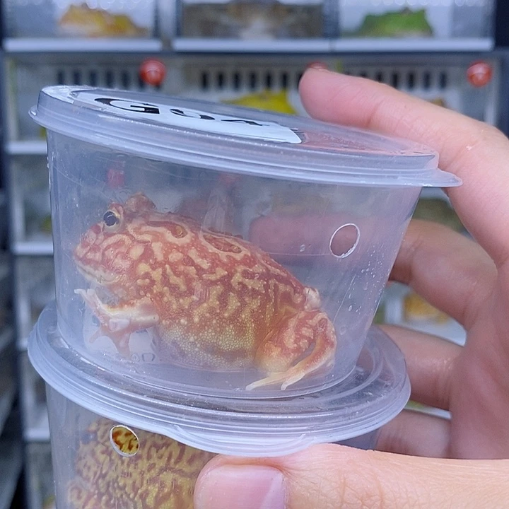 特价秒杀现货特价残