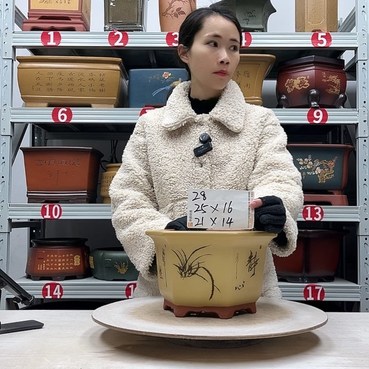 紫砂花盆紫砂花盆