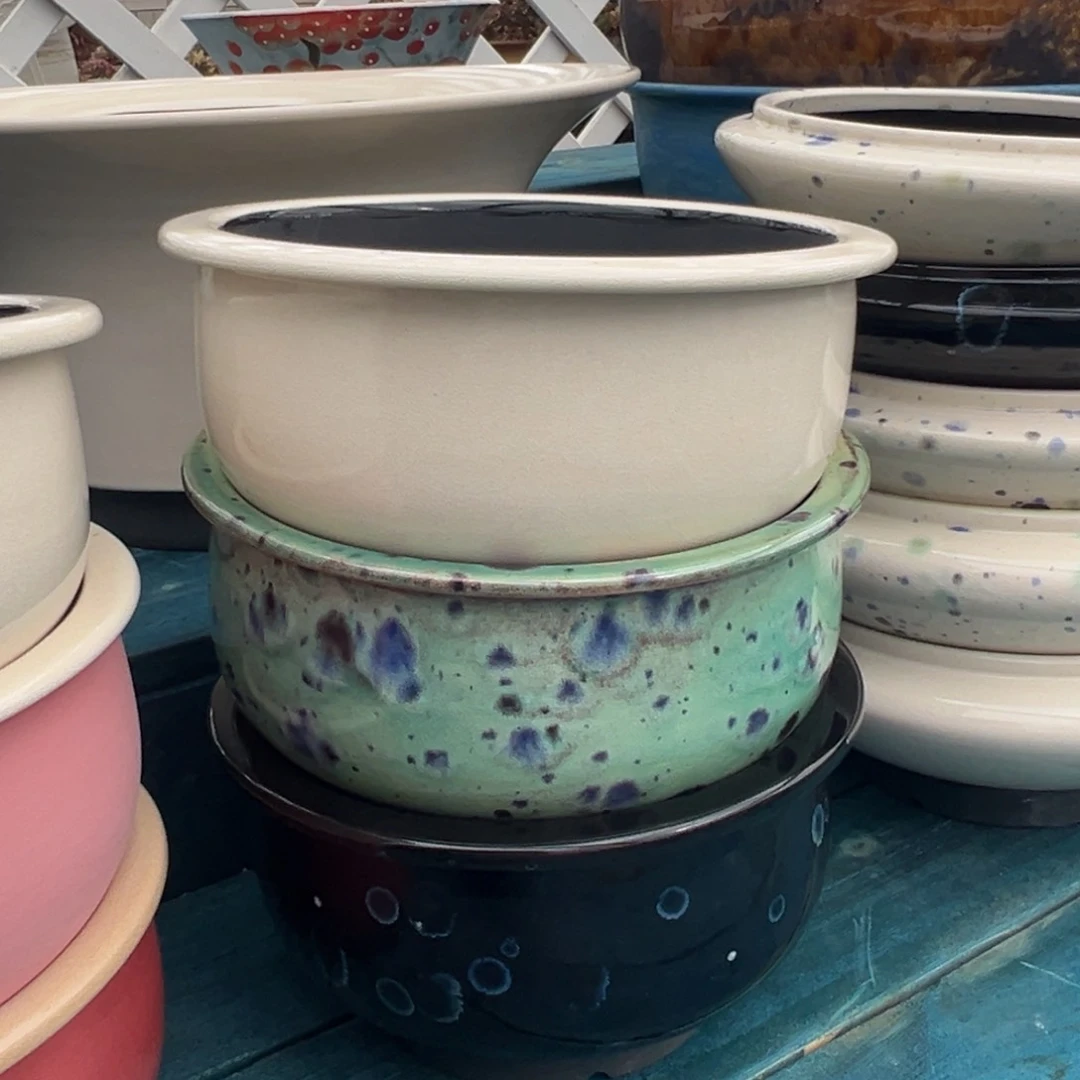 从前慢多肉精选编号0629.13