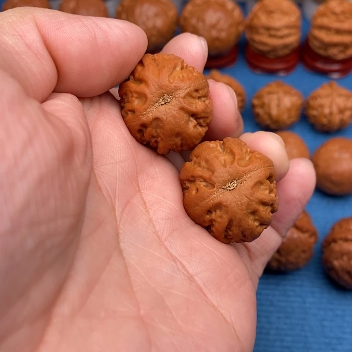 文玩核桃把件小粗筋