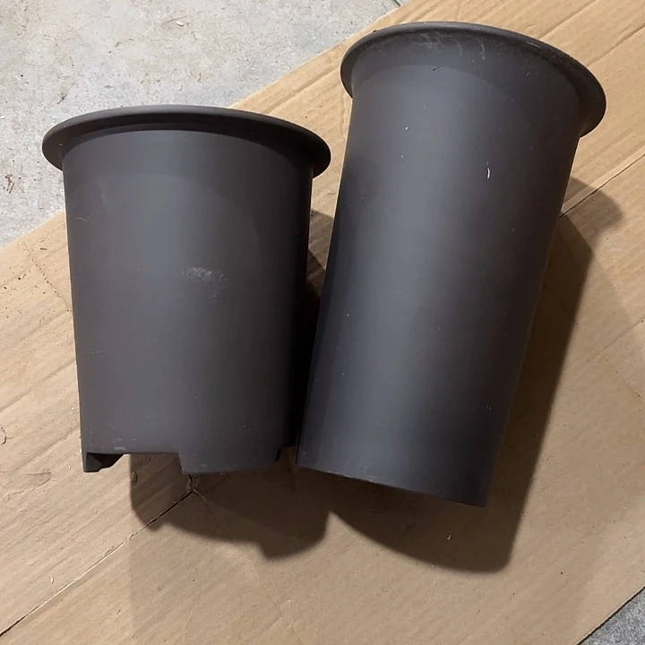 容***轩两只孤品