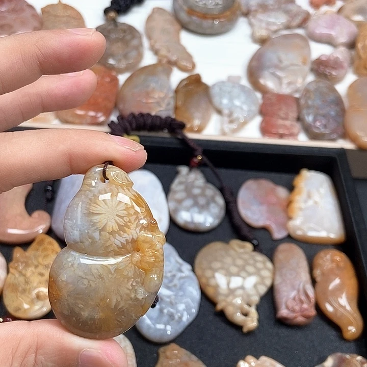 硅化珊瑚（珊瑚玉）未镶嵌颈饰