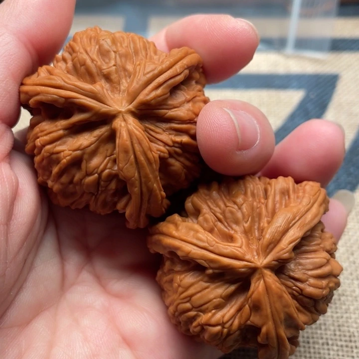 1***3核桃白狮子44核桃